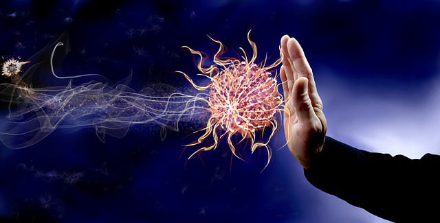 Que es el sistema inmunitario?